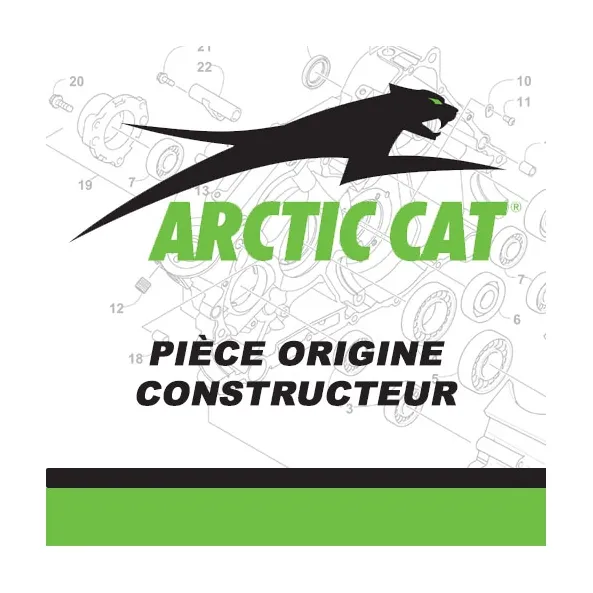 2621-387 - ARCTIC CAT DECAL, HOOD-8000-LH-GRN (LTD)